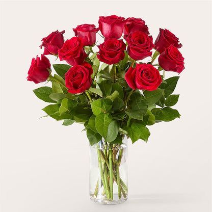 The One Red Rose Bouquet –  West Hollywood Florist, West Hollywood CA