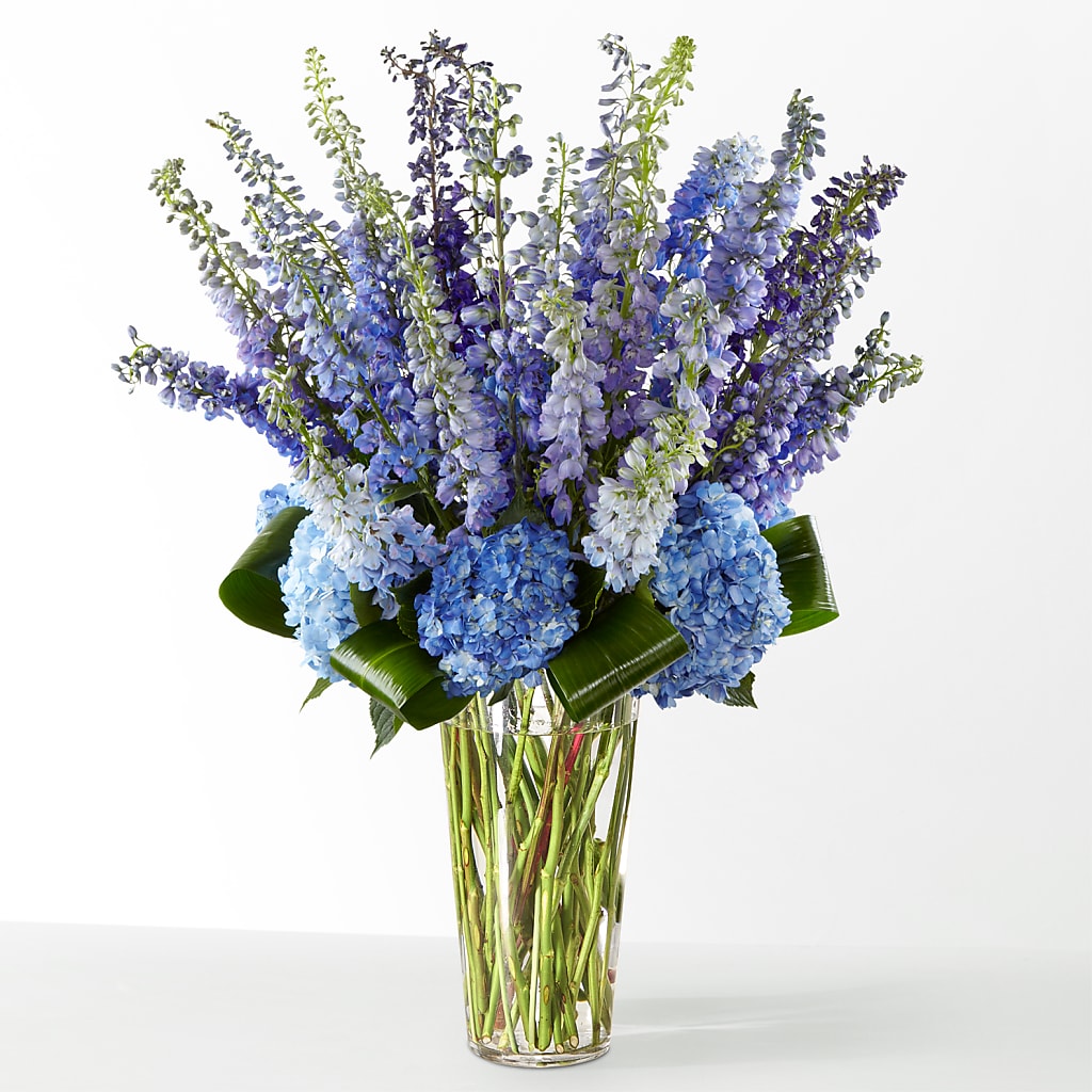 The Editorial –  West Hollywood Florist, West Hollywood CA
