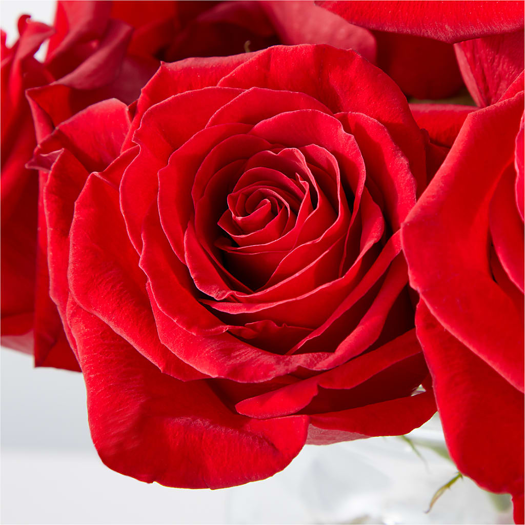 Cupid's Embrace Red Rose Bouquet –  West Hollywood Florist, West Hollywood CA