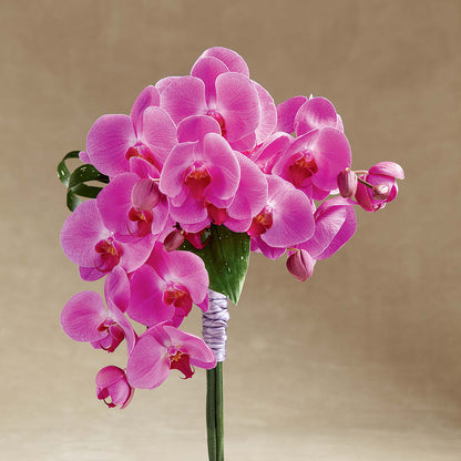 Glorious Bouquet –  West Hollywood Florist, West Hollywood CA