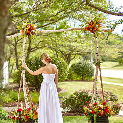 Arbor of Love Archway –  West Hollywood Florist, West Hollywood CA
