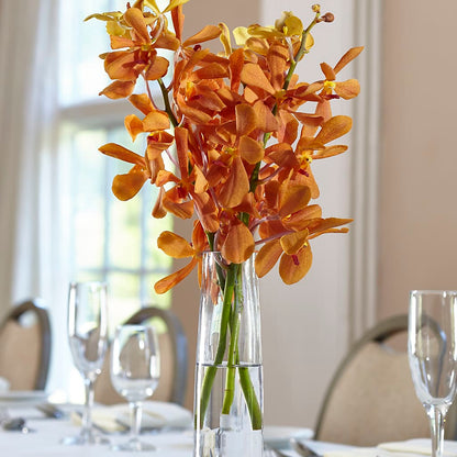 Orange Mokara Bud Vase –  West Hollywood Florist, West Hollywood CA