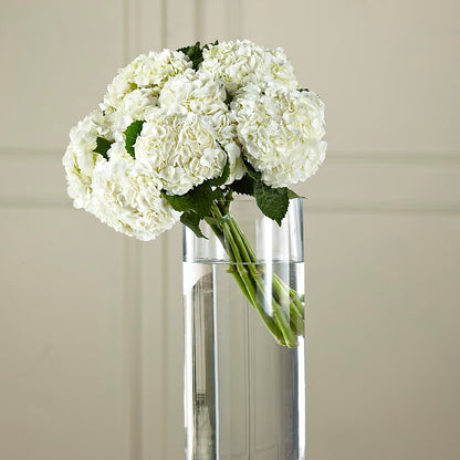 White Hydrangea Hand-Tied Bouquet –  West Hollywood Florist, West Hollywood CA