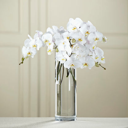 White Phalaenopsis Bouquet –  West Hollywood Florist, West Hollywood CA