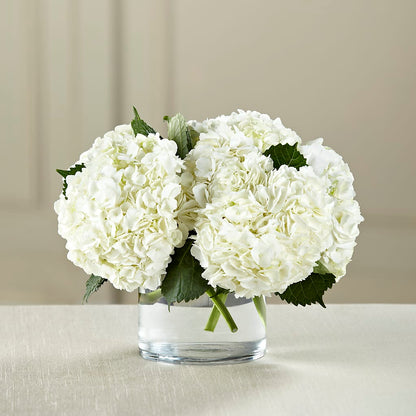 White Hydrangea Bouquet –  West Hollywood Florist, West Hollywood CA