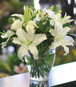 White Harmony Arrangement