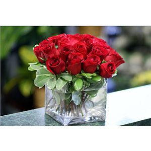 2 Dozen Red Roses Low Profile Design